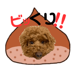 Kohaku_20260315003451