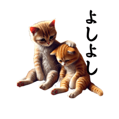 Tontochan_20260314184320