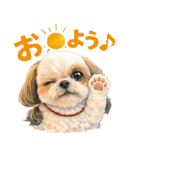 milky_20260314203022