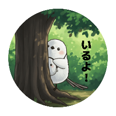 Long-tailed Tit Bird photography