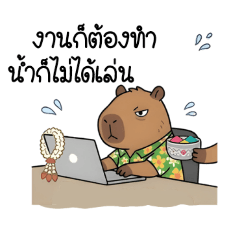 Capybara Songkran Party