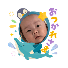 koto_20260314204222