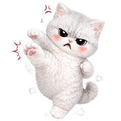 Meow Meow, fluffy fur (No Text)