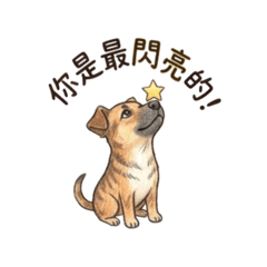你是最閃亮的