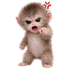 Macaque! Tuasab (No text)