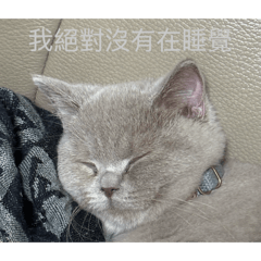 可愛的小米酒 第二彈