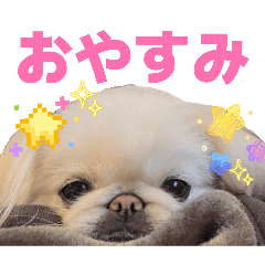 rili_20260314212906