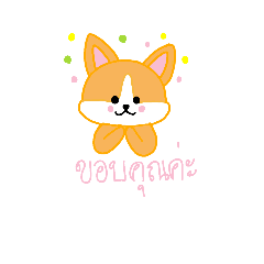 cholthicha_20260314150641