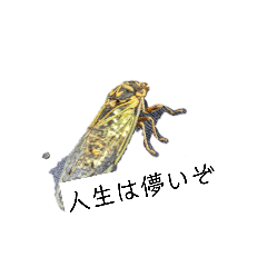 megararagaru-da_20260315091358