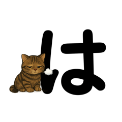 yuuko_20260315090925