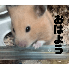 abc4101aa55_20260314220114