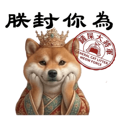 皇帝柴柴犬的日常碎碎念