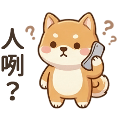 可愛柴犬大貼圖-人咧？