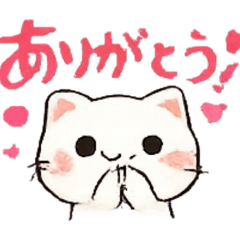 Cat cat_20260314201610