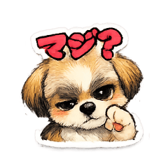 lumina_20260314202324