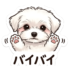 WATA_20260314223350