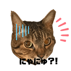 mikarin_20260315000545