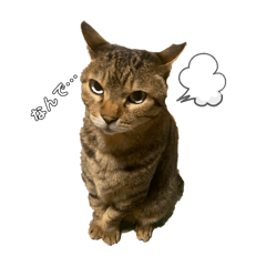 mikarin_20260315000801