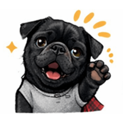 takurou_20260314214029