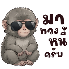 ลิงน้อยทวงหนี้