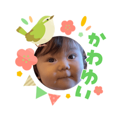 tamago_20260315102331