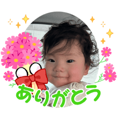 N family_20260315103503