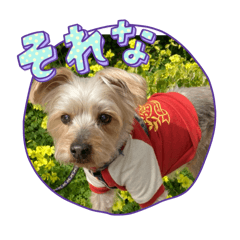 kenken0919-2