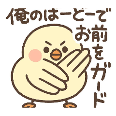 koara_20260311194847