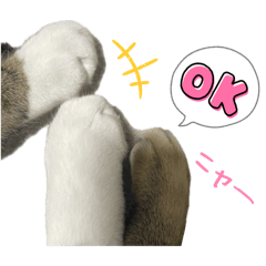 Coco mama_20260315103550