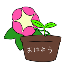 futaba_20260315002931