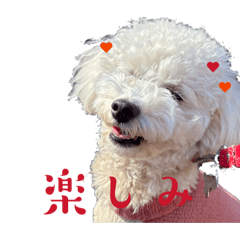 ayaya_20260315002049