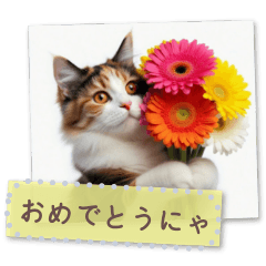 Cat frame for giving a bouquet, flowers