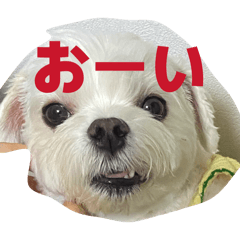 Gahee_20260315034517