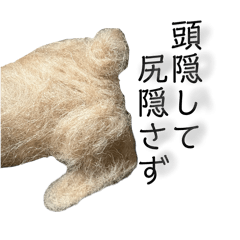 akirin_20260312042759