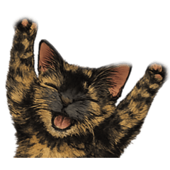 Sabineko Kotetsu_20260315113413