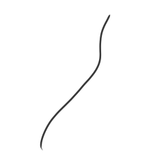 哎呀!螢幕上怎麼有毛