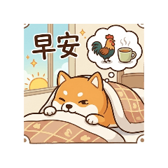 柴犬小不點#天哥哥