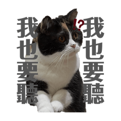 小咪的100種情緒