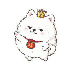 可愛的博美第一彈（Pomeranian）