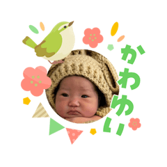 bayashi_20260315121918