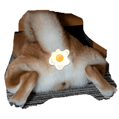 mameta_20260312075752