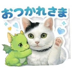 sirasu_20260312080648