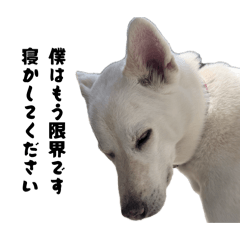 Daily stickers for Toda family.