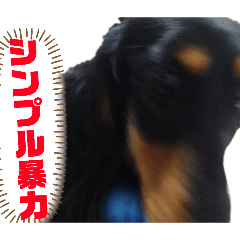 Yurinchi_20260315145217