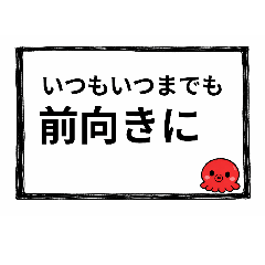 takojarashi_20260315131810