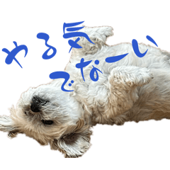 sa-san_20260315135741