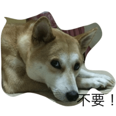 ballballbobo