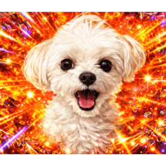 happy dog...