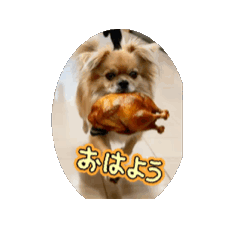 Shimako_20260315204258