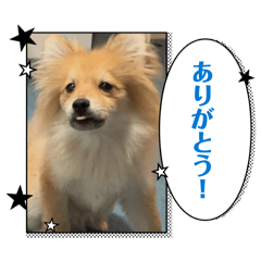 akiemon_20260315214708